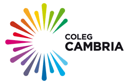 TJ Hayes & Son, proud to be associated with Coleg Cambria, Deeside, Flintshire